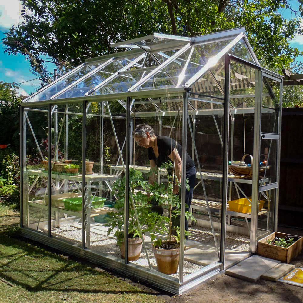 Rhino Classic 6x8 aluminium greenhouse in plain aluminium on a summer lawn