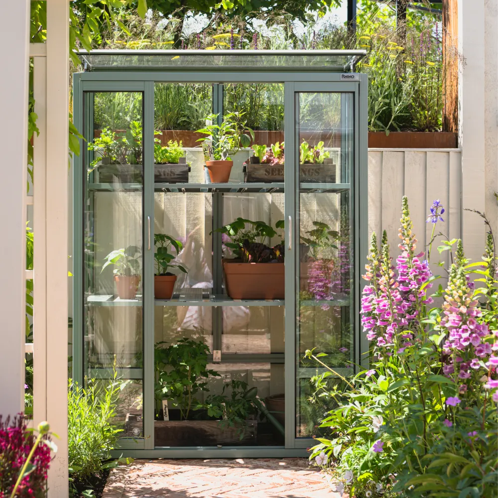 Rhino Patio Greenhouse 2x4 in Blue Grass against a courtyard wall